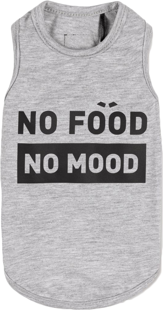 

Борцовка для собак Pet Fashion "No food-no mood" XS-2 Меланж (4823082421718)