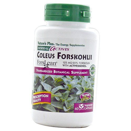 

Herbal Actives Coleus Forskohlii Nature's Plus 60вегкапс (71375033)