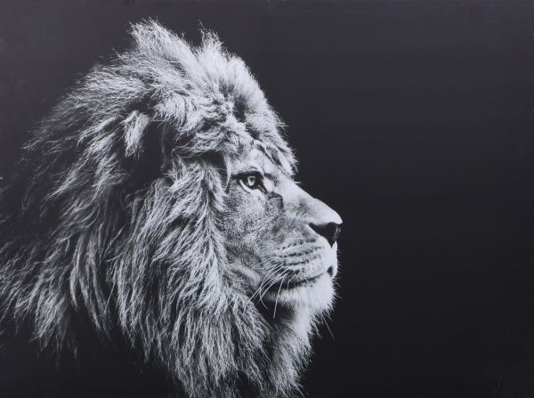 

Картина Styler Лев 100 х 75 см
