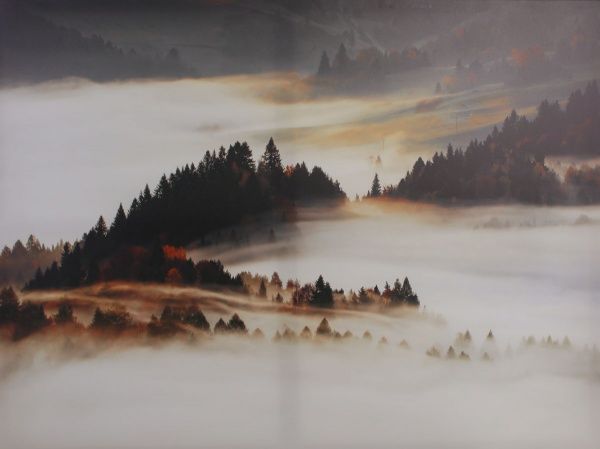 

Картина Styler Mist 113 х 85 см