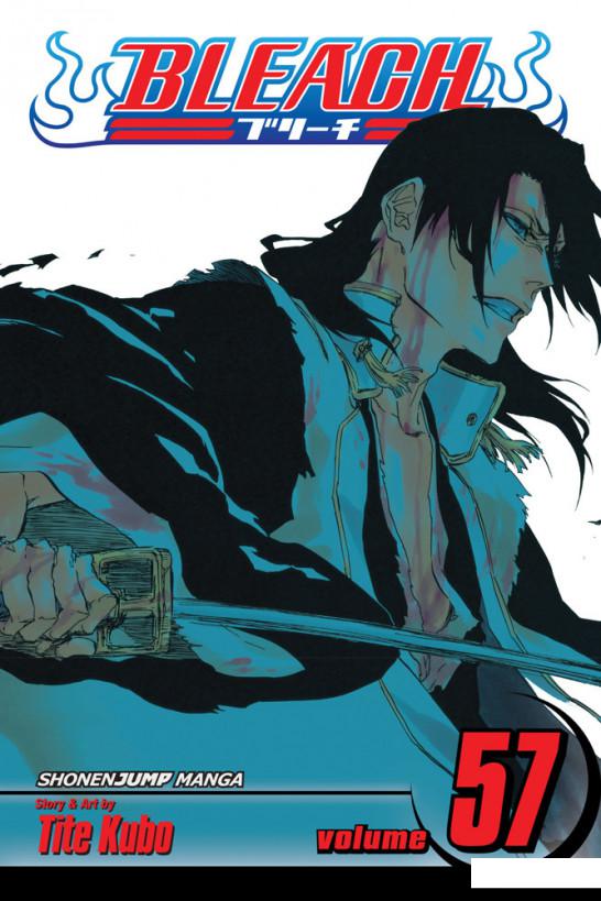 

Bleach. Volume 57 (1024957)