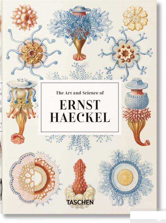 

Haeckel (1247465)