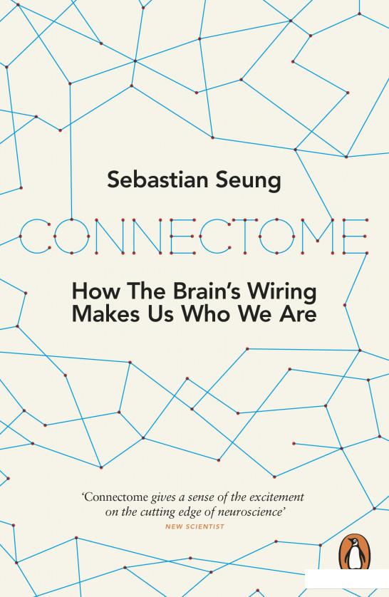 

Connectome (942362)