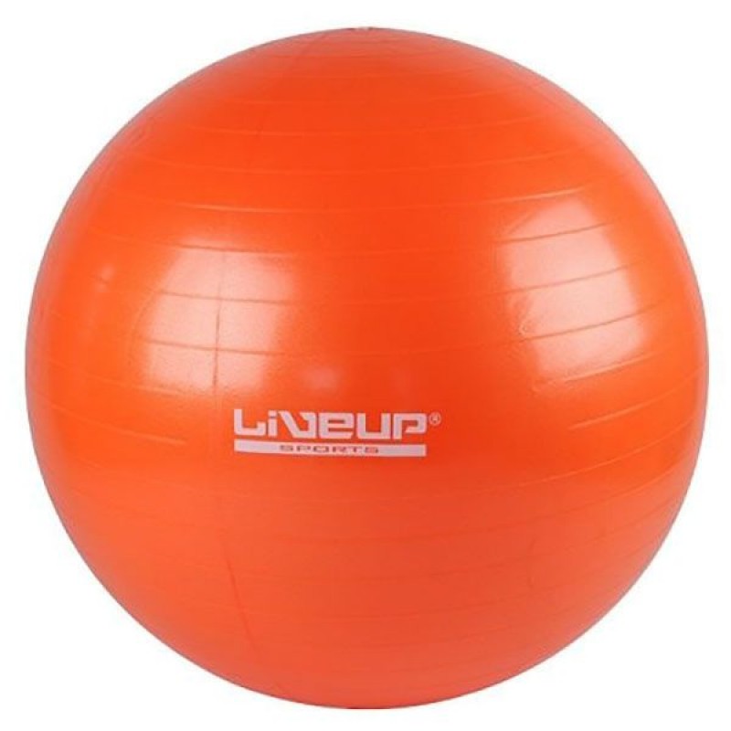 

Гимнастический мяч LiveUp 550, код: LS3221-55