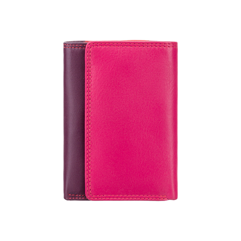 

Кошелек женский Visconti RB39 Biola c RFID (Plum Multi)