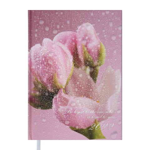 

Ежедневник датированный Buromax 2022 POSH, A5, розовый (BM.2118-10)