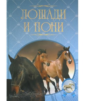 

Лошади и пони (4251444)