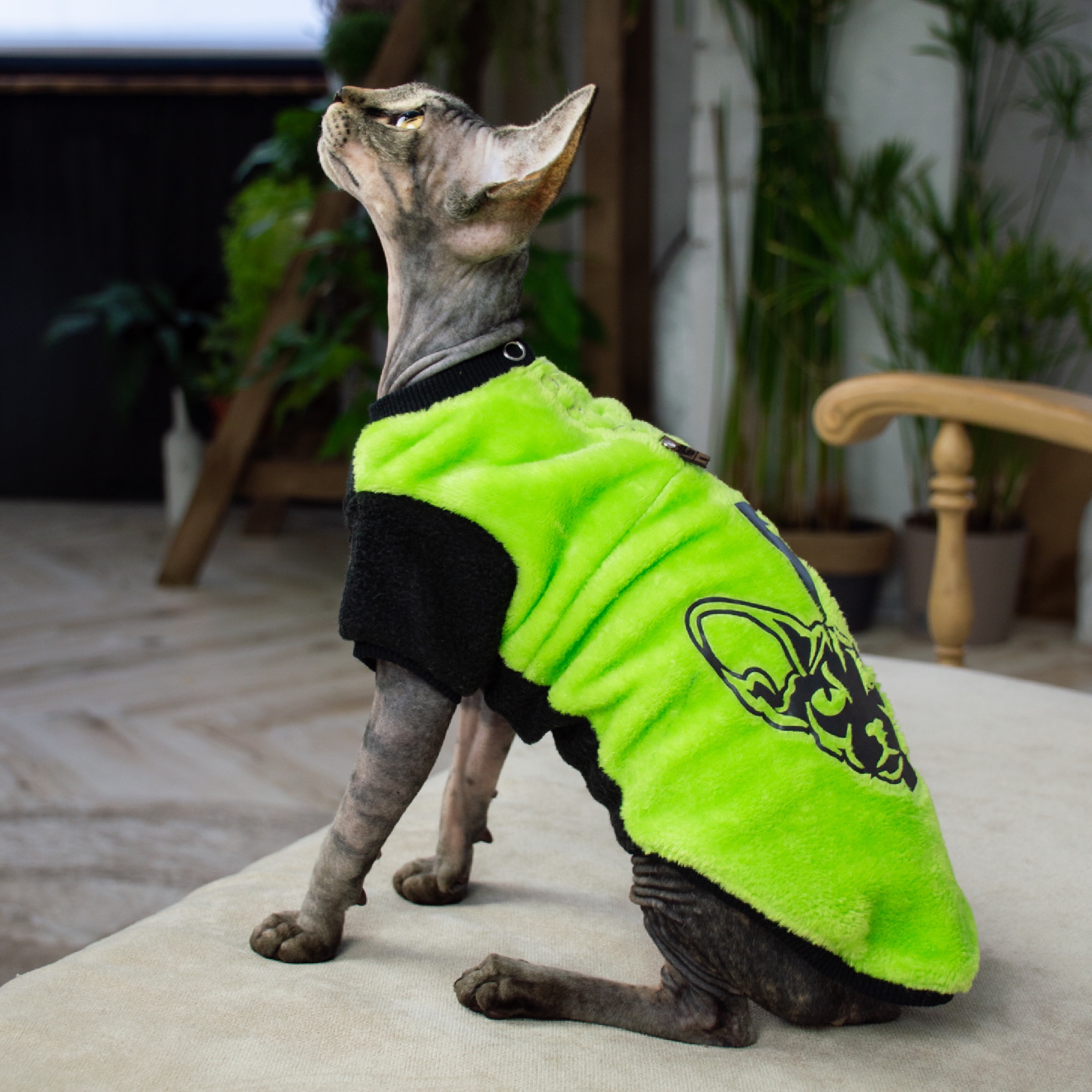 

кофта для кошки Style Pets FaceSPS (KM FSP S br) L-