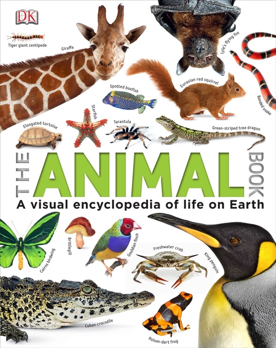 

The Animal Book (4209322)