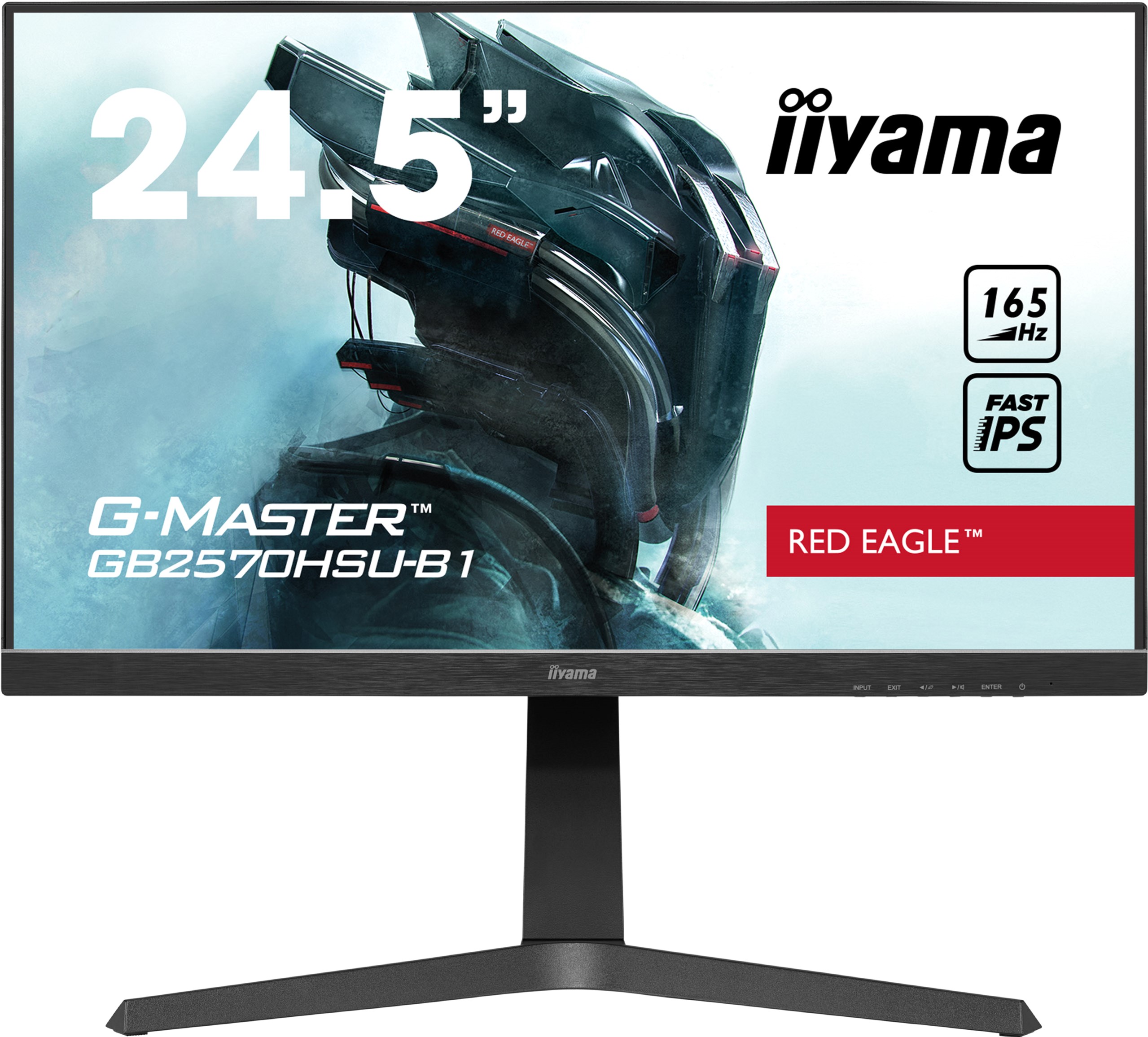 

Монитор 24.5" Iiyama G-Master GB2570HSU-B