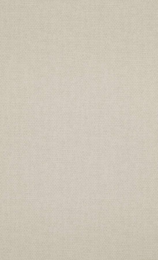 

Виниловые обои на флизилиновой основе BN International Raw Matters 218800 серый однотонный