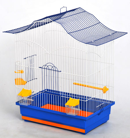 Клетка для волнистых попугаев: размер, обустройство, где ставить