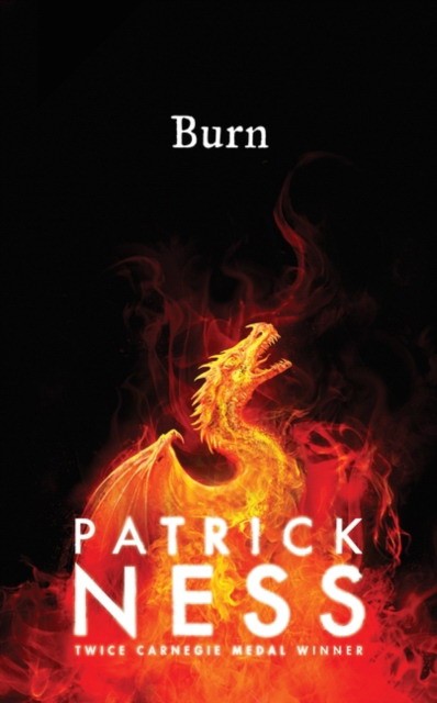 

Burn (4350486)