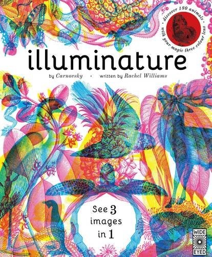 

Illuminature