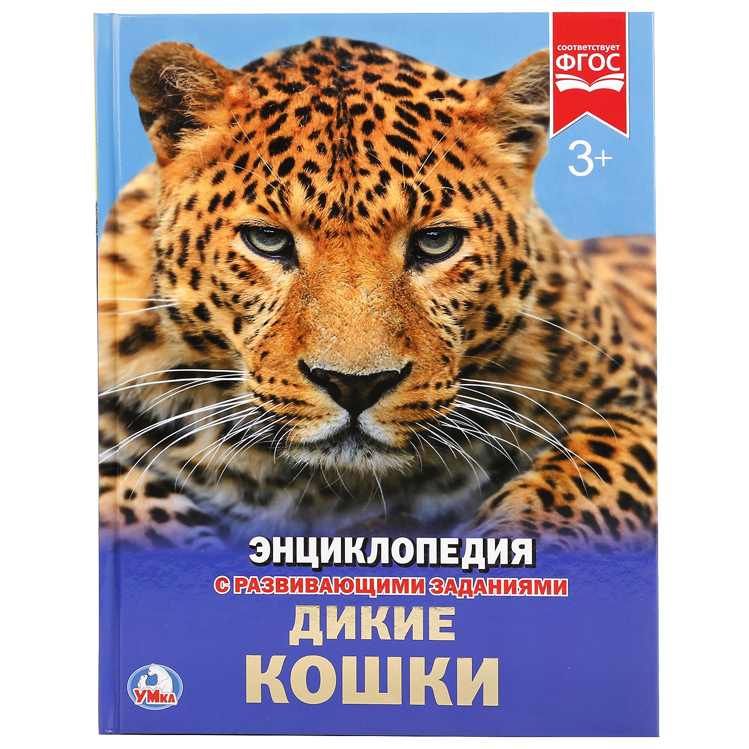 

Дикие кошки (1725529)