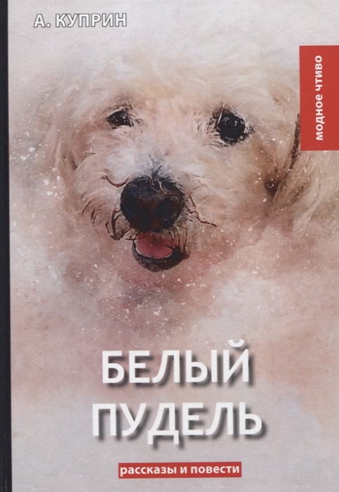 

Белый пудель (1766594)