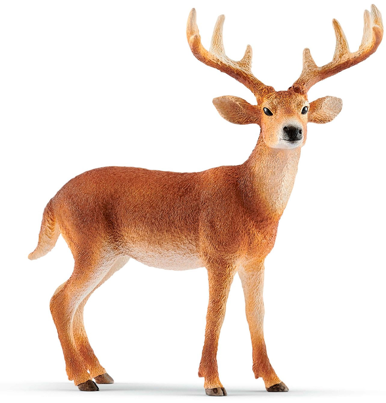 

Белохвостый олень, игрушка-фигурка, Schleich (12-67677)