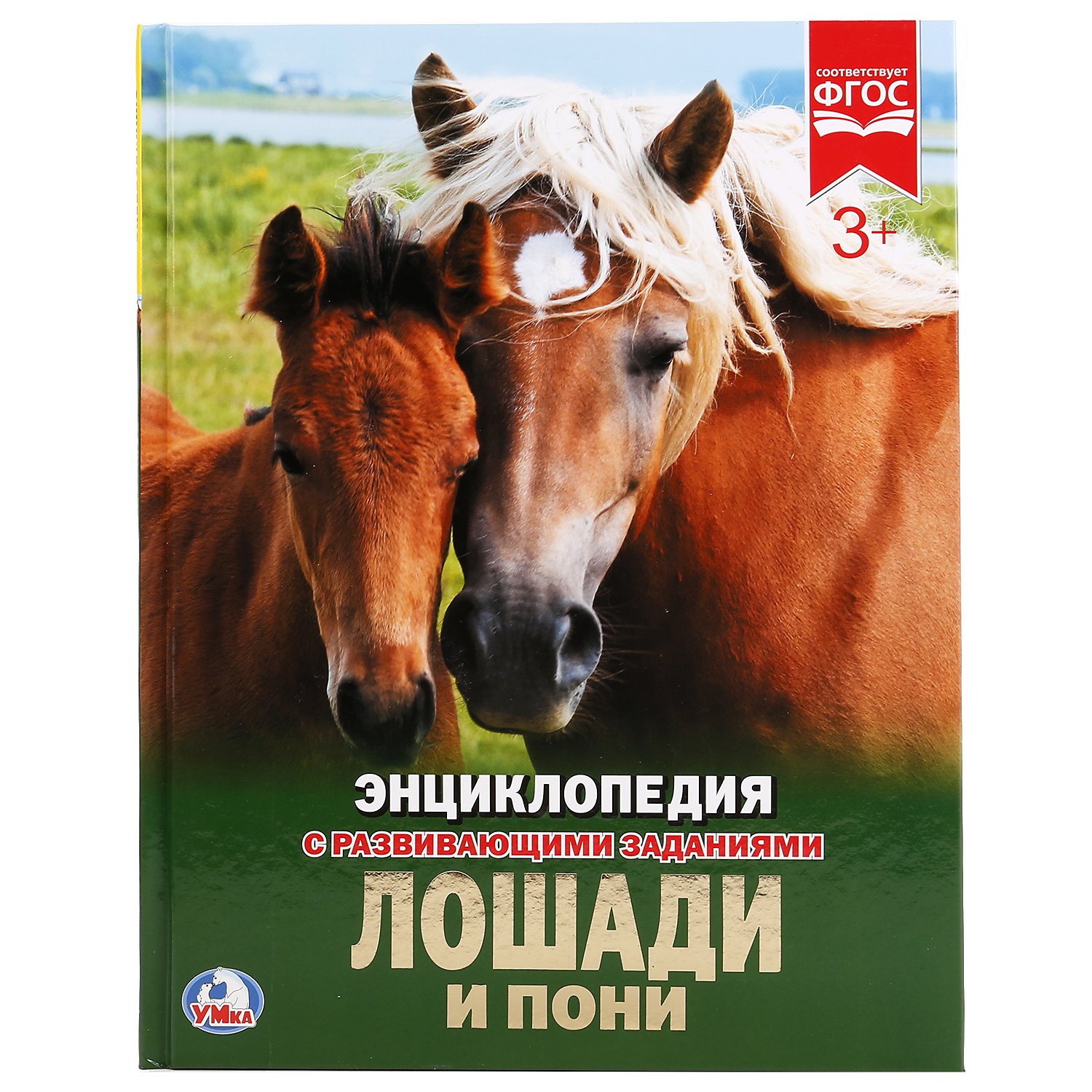 

Лошади и пони (1732028)