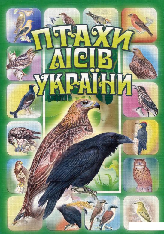 

Комплект наочності "Птахи лісів України" (174609)