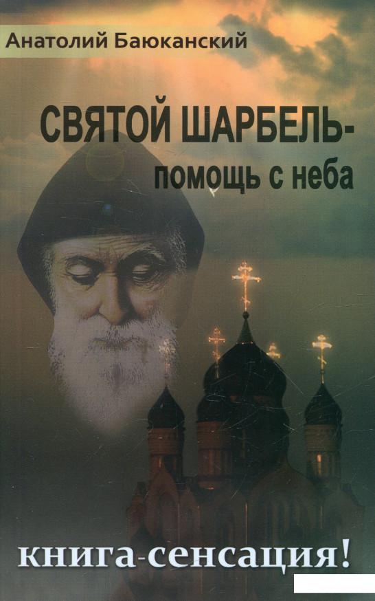 

Святой Шарбель - помощь с неба (344872)