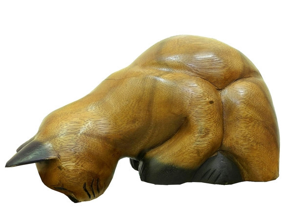 

Кот манго смотрящий вниз с полки (км-69)