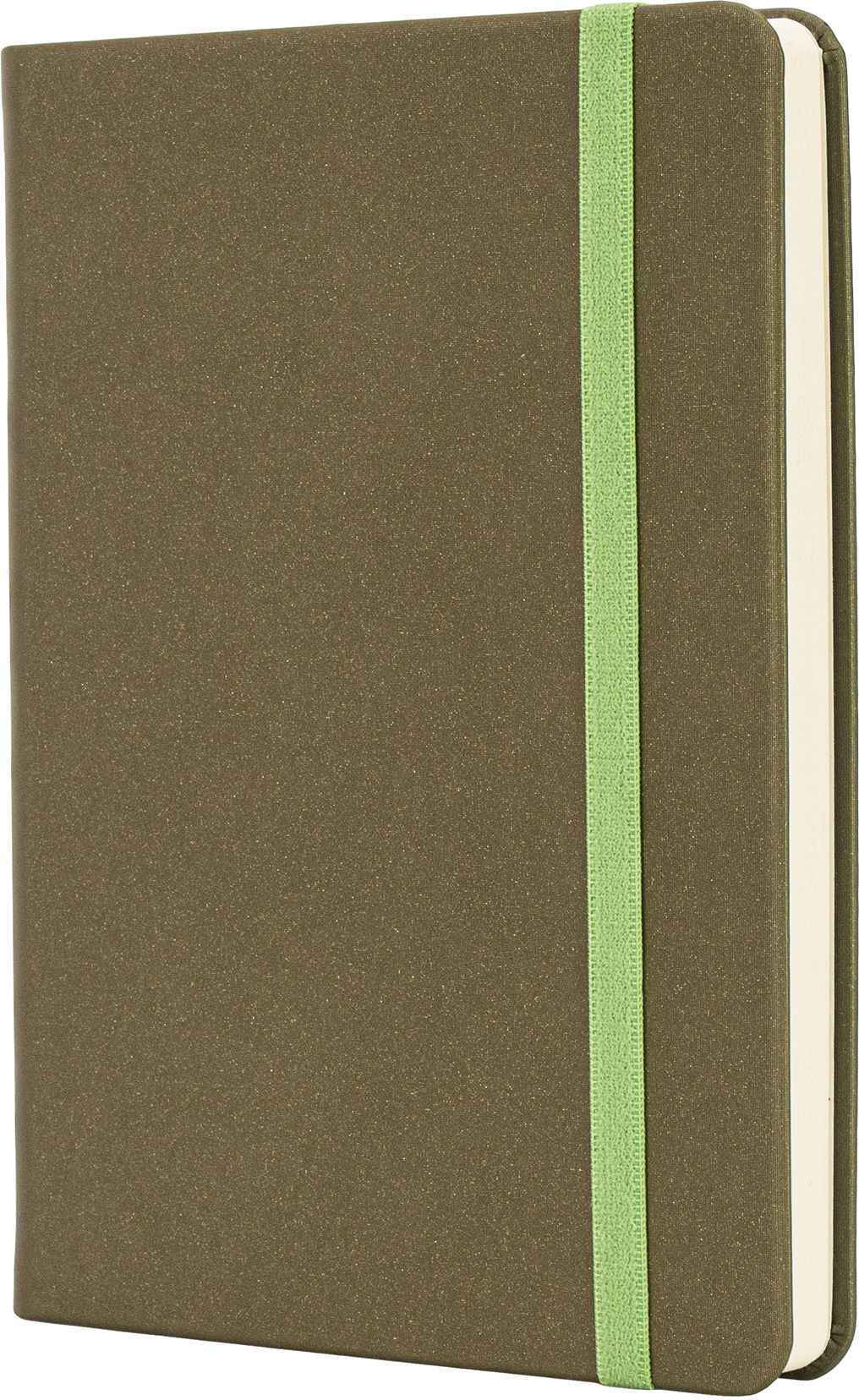 

Деловая записная книга Optima Magic A6 128 л Фисташковая (O20388-67)