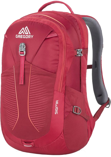 

Рюкзак Gregory EVERYDAY ADVENTURE SIGMA 28L DES.ROSE 104093/1297