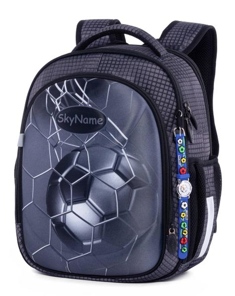 

Ранец школьный для мальчиков SkyName R4-406