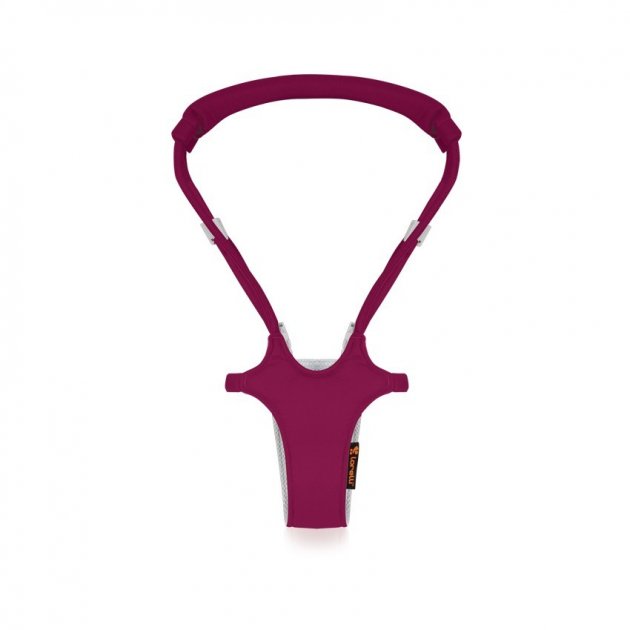 

Детские вожжи Lorelli Бордовый FIRST STEPS RED) (Lorelli)