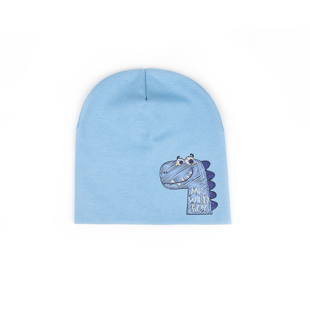 

Демисезонная Шапка Микс Дино 48-52см 01864 Голубой Talvi