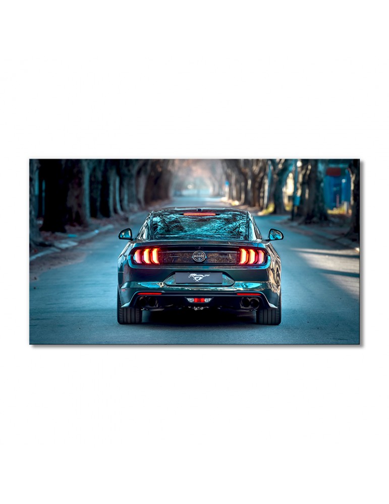 

Модульная картина Artel «Авто зеленый Форд Мустанг» 1 модуль 60x90 см
