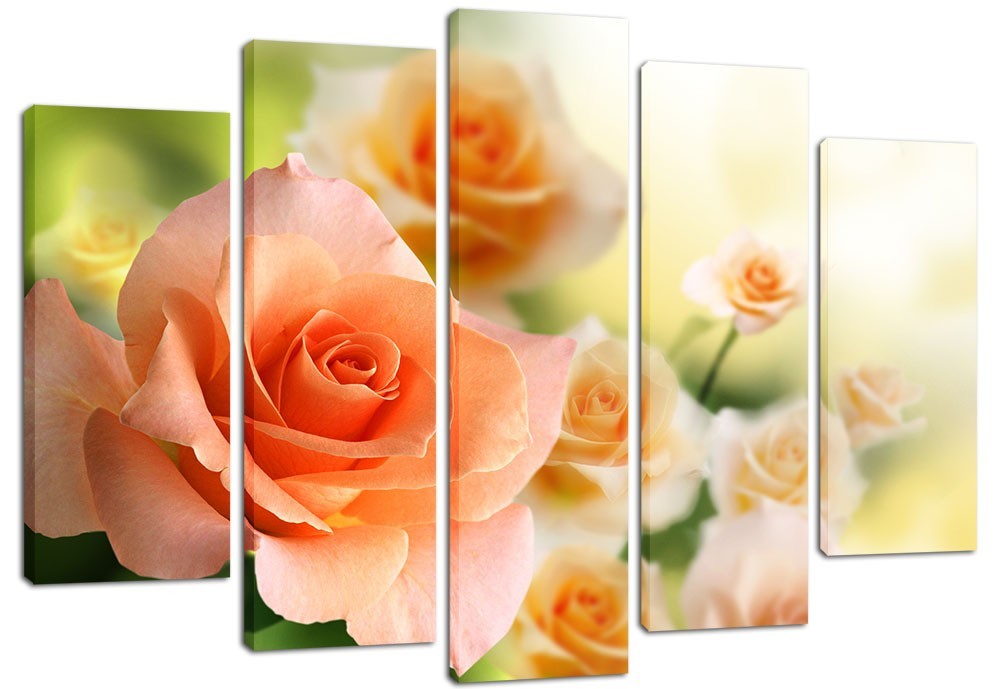 

Модульная картина на холсте из 5 частей DK Place 120x80 см (PLM5-121)