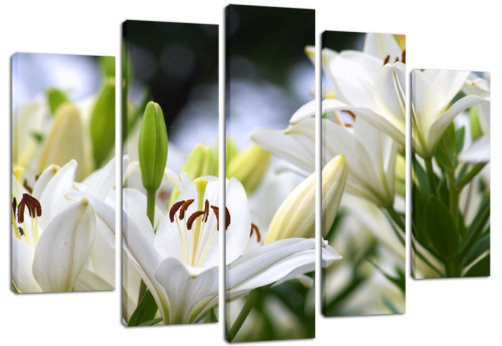 

Модульная картина на холсте из 5 частей DK Place 120x80 см (PLM5-70)