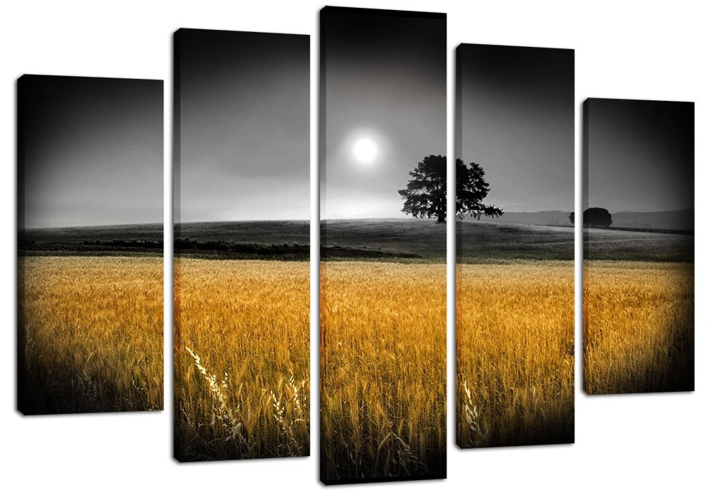 

Модульная картина на холсте из 5 частей DK Place 120x80 см (PLM5-149)