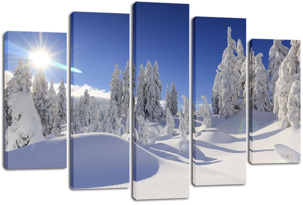 

Модульная картина на холсте из 5 частей DK Place 120x80 см (PLM5-199)