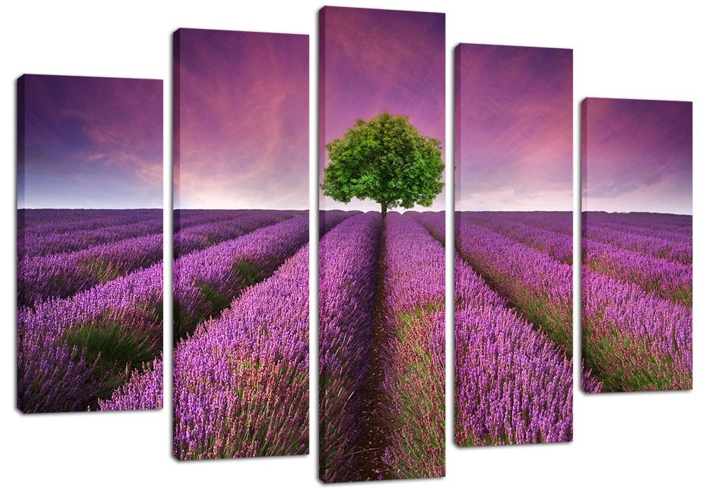 

Модульная картина на холсте из 5 частей DK Place 120x80 см (PLM5-105)