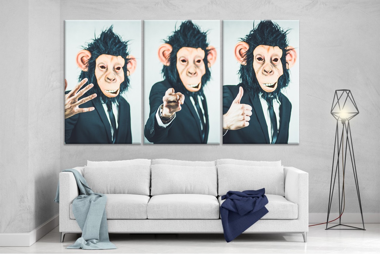 

Модульная картина на холсте DK Place из трех частей 167x99 см Monkey Man