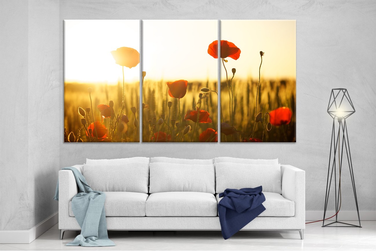 

Модульная картина на холсте DK Place из трех частей 167x99 см Маки (XL44)