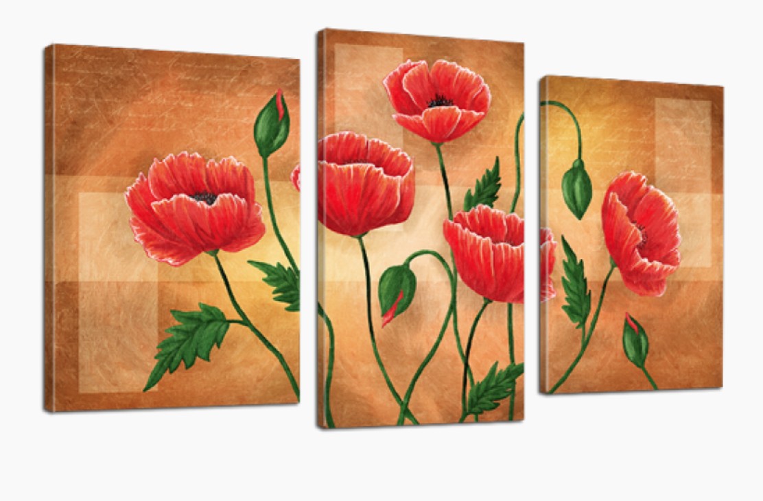 

Модульная картина DK Place Чудесные маки 70x110 см
