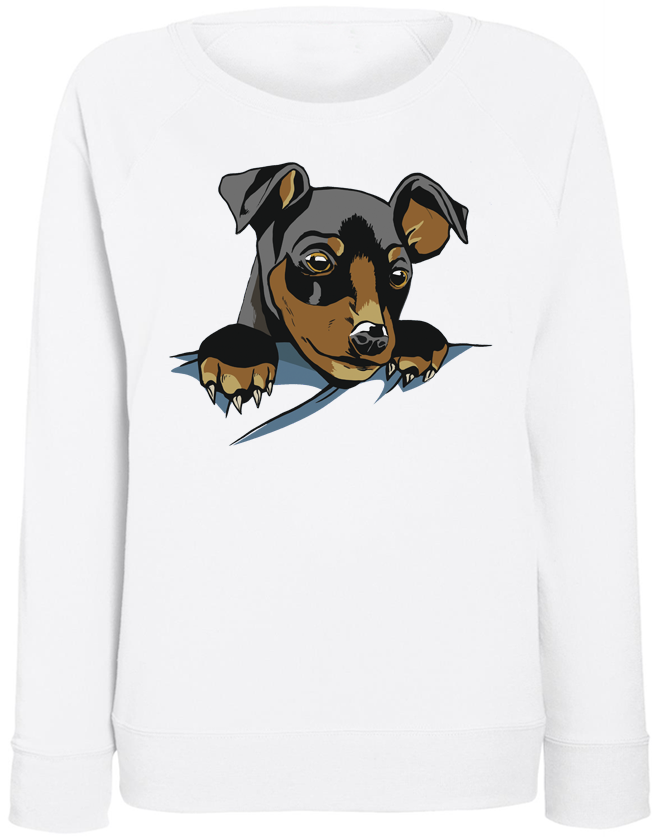 

Женский свитшот Fat Cat Cute Dog Pocket (белый) XXL 40562