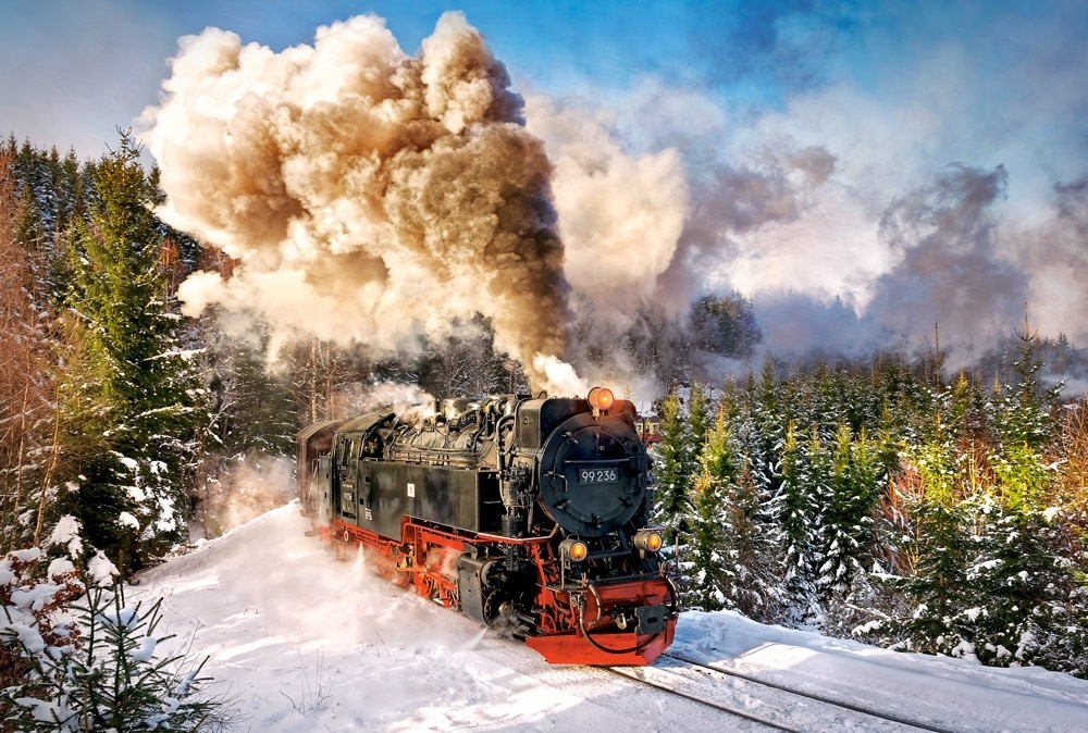 

Пазлы Castorland 1000 элементов "Паровоз" (C-103409)