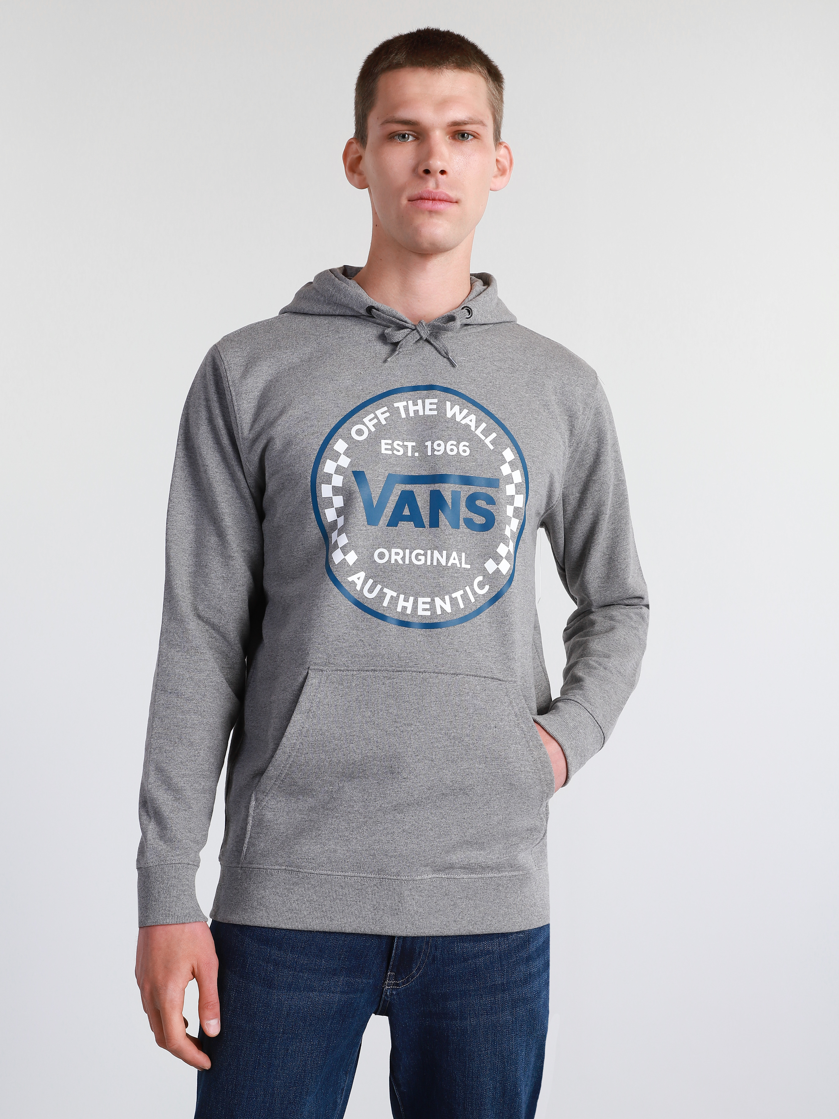 

Худи Vans V1195 M Серое