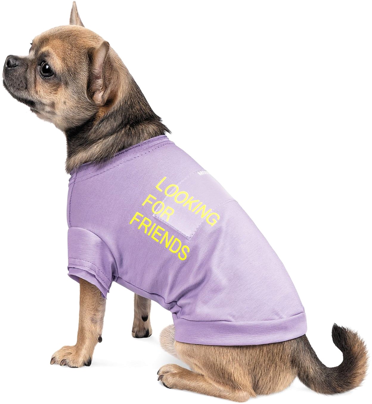

Футболка для собак Pet Fashion "Game" XS Сиреневая (4823082420858)