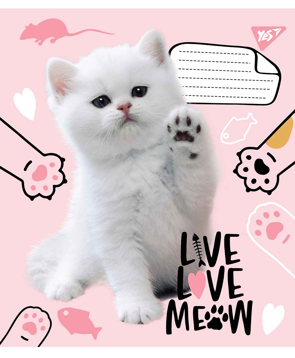 

Набор тетрадей ученических YES Live love meow А5 12 листов в клетку 25 шт (765496)