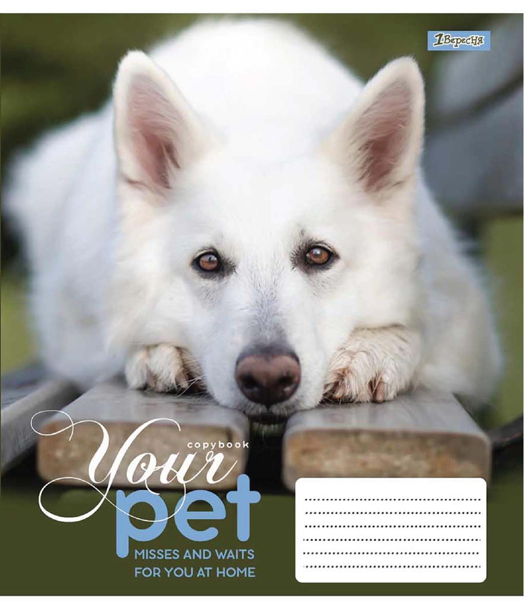 

Набор тетрадей ученических 1 Вересня Dog loyality А5 18 листов в клетку 25 шт (765422)
