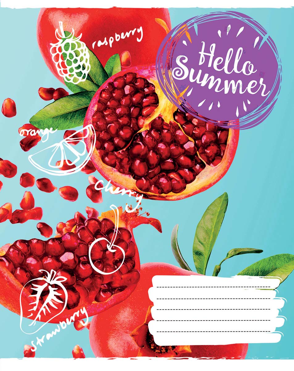 

Набор тетрадей ученических 1 Вересня Hello summer А5 24 листа в клетку 20 шт (765677)