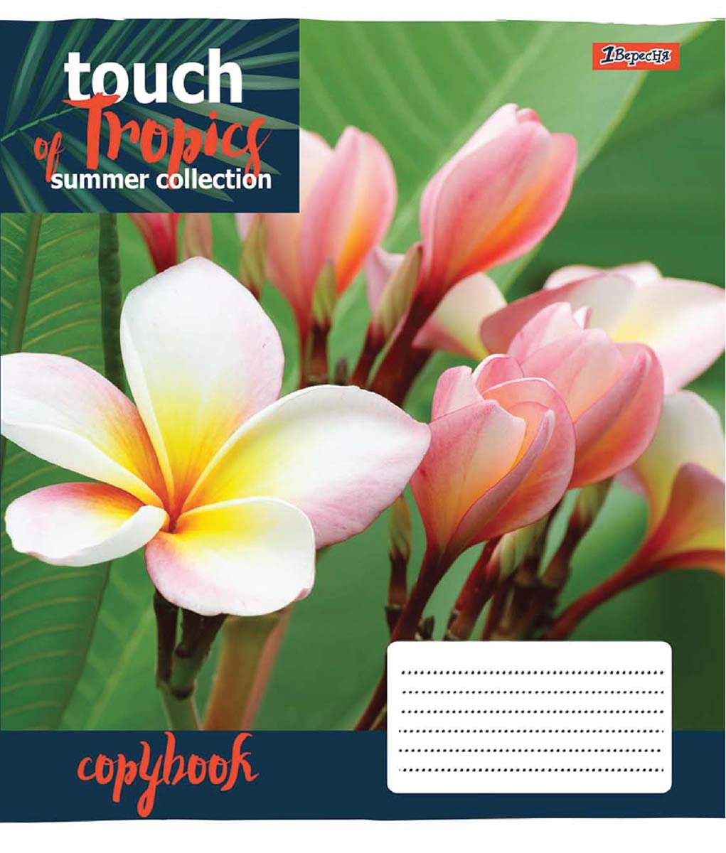 

Набор тетрадей ученических 1 Вересня Touch tropics А5 24 листа в клетку 20 шт (765444)