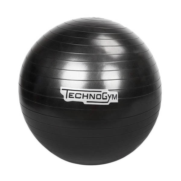 Мяч для фитнеса (фитбол, гимнастический мяч) TechnoGym 65 см черный ...