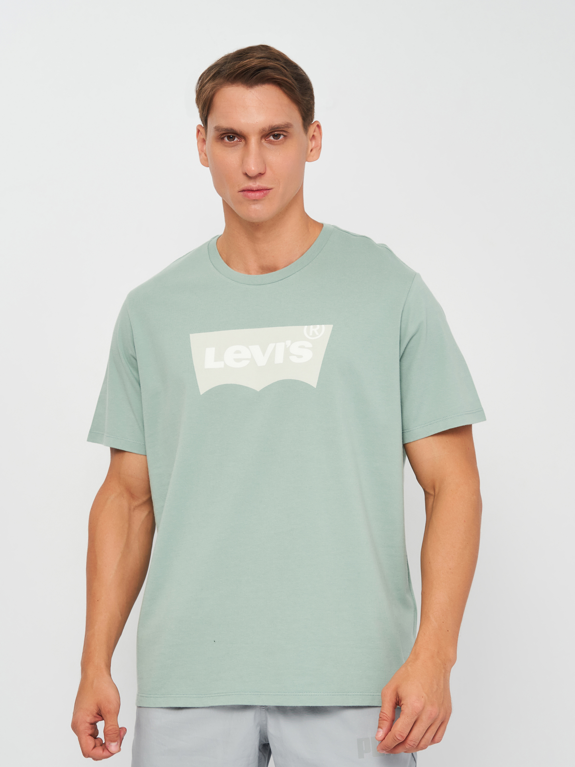 

Футболка Levi's Housemark Graphic Tee Chest Batwing Blu 22489-0431 XL