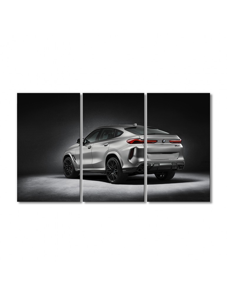 

Модульная картина Artel «Автомобиль БМВ X5 M X6 M» 3 модуля 120x180 см